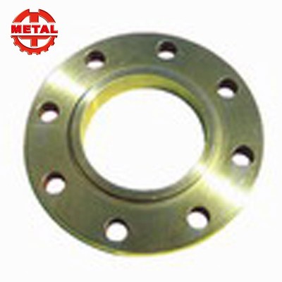 Custom ansi pipe forged stainless steel flange